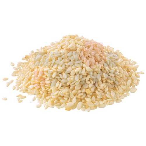 GSS1_1
