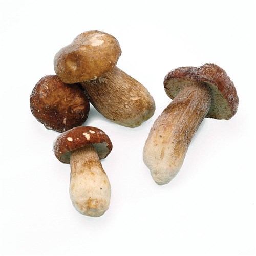 BORDE FROZEN PORCINI MUSHROOM 1KG