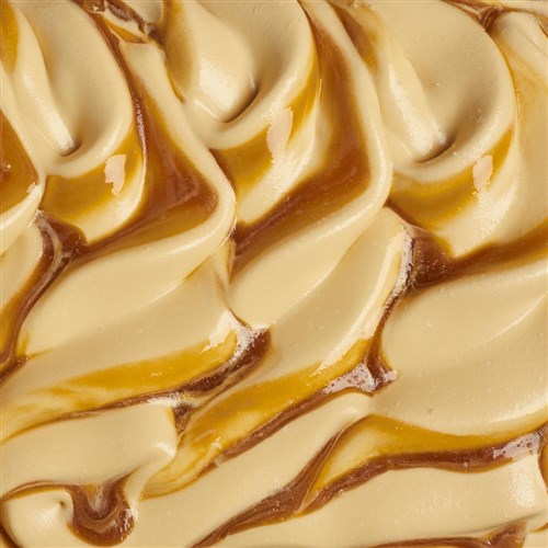 SERENDIPITY SEA SALT CARAMEL GELATO 5LT